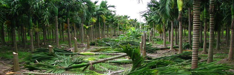 海能儀器廣泛應(yīng)用于環(huán)境分析領(lǐng)域